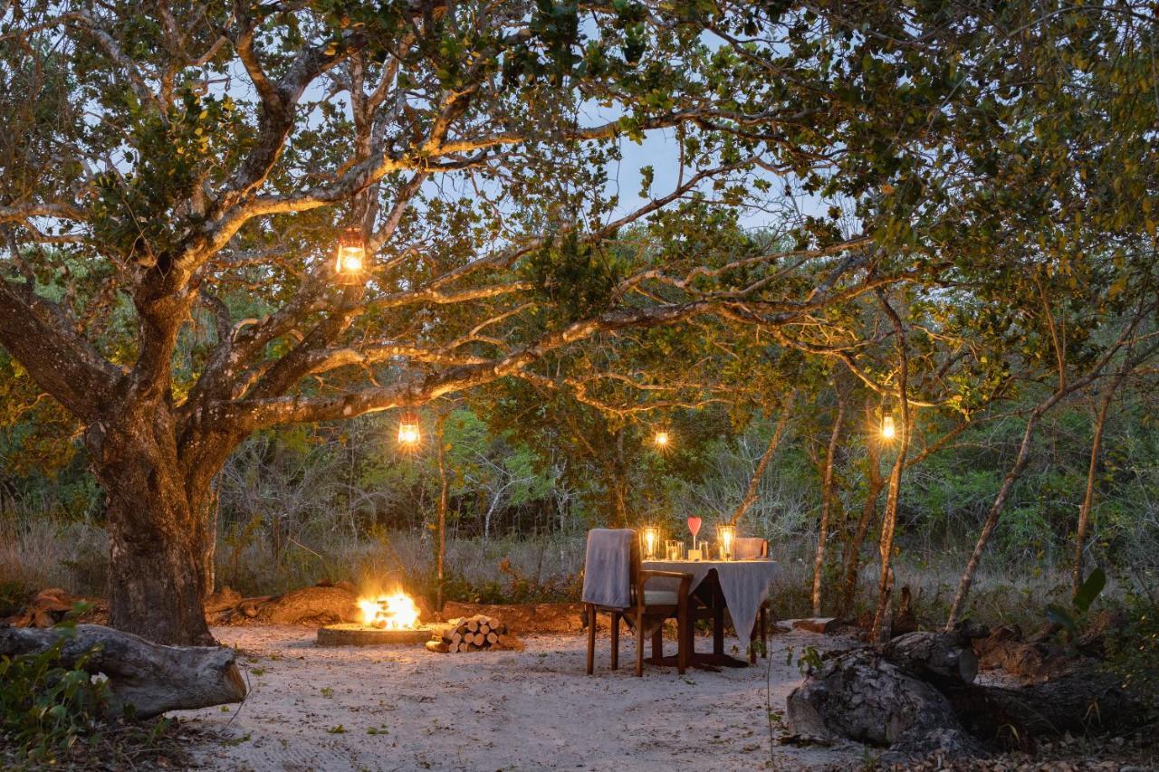 Kosi Forest Lodge Manguzi Extérieur photo