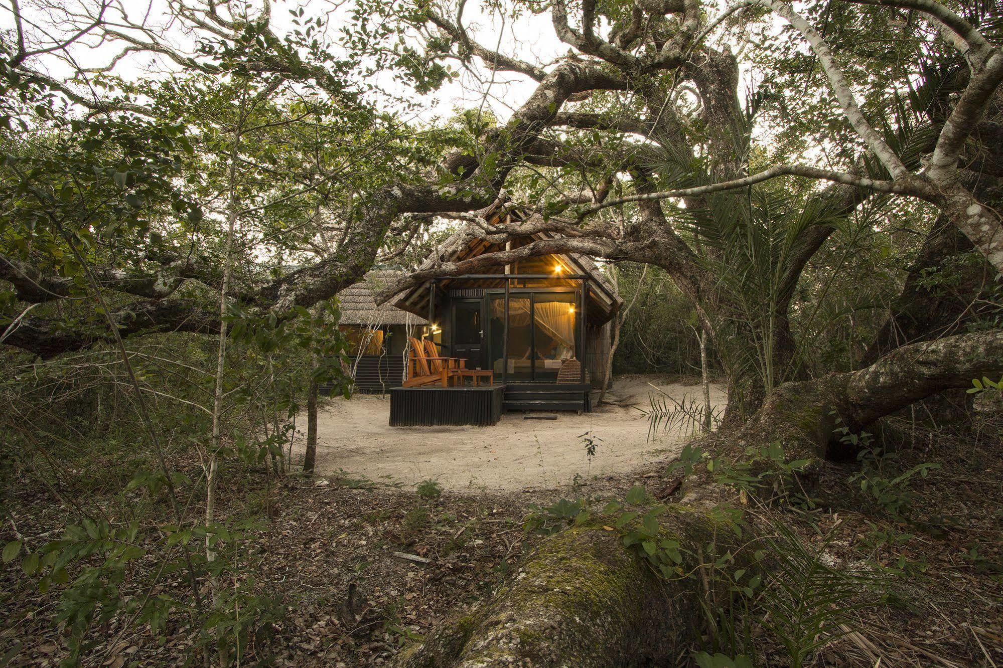 Kosi Forest Lodge Manguzi Extérieur photo